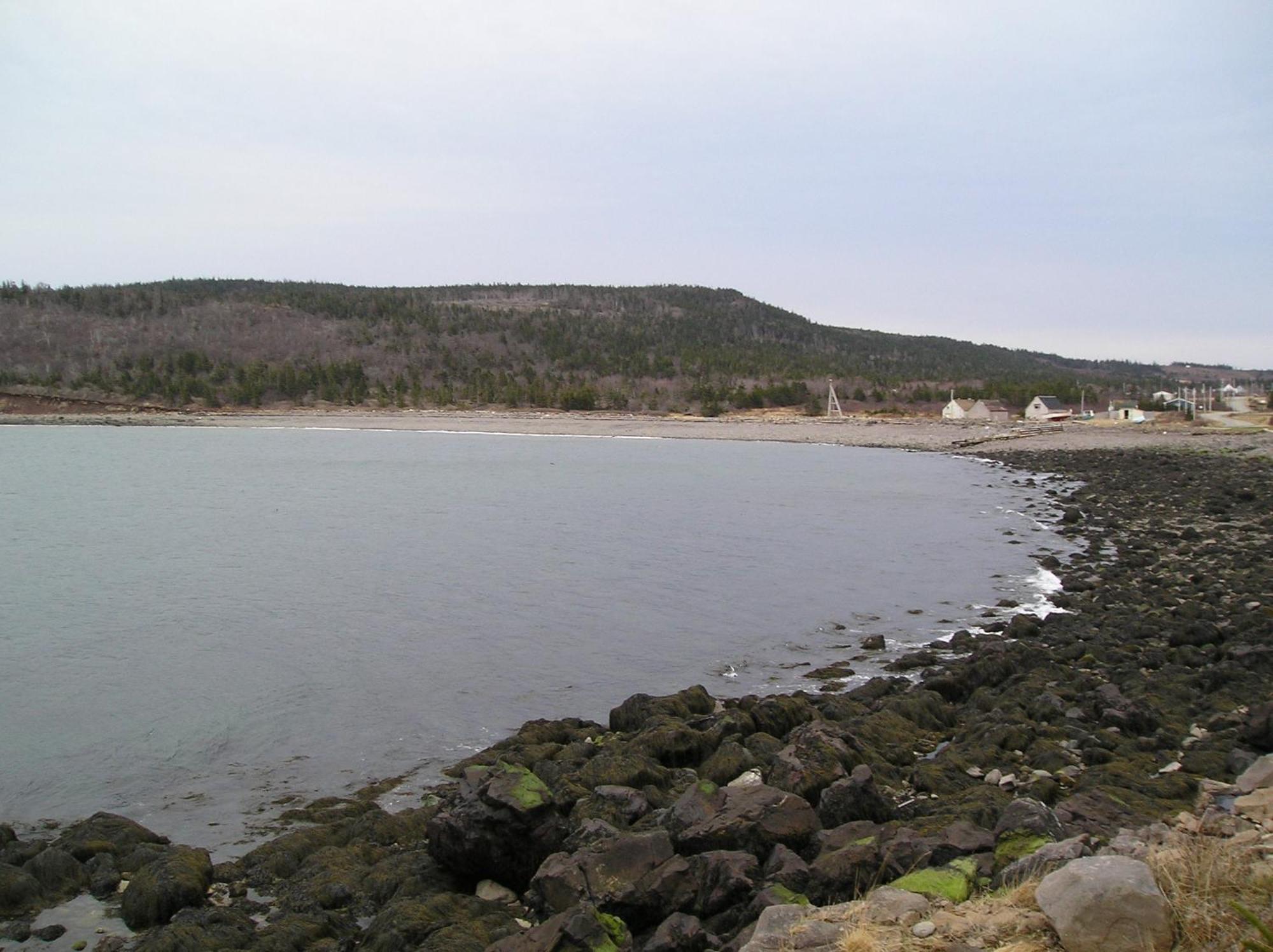 Gulliver'S Cove Oceanview Cottages Gullivers Cove 외부 사진
